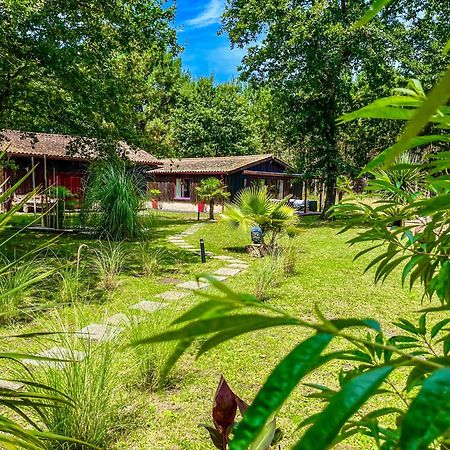 Hacienda De La Canopee Avec Piscine Chauffee Au Sel オータン エクステリア 写真