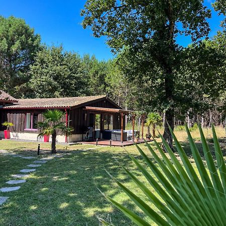 Hacienda De La Canopee Avec Piscine Chauffee Au Sel オータン エクステリア 写真