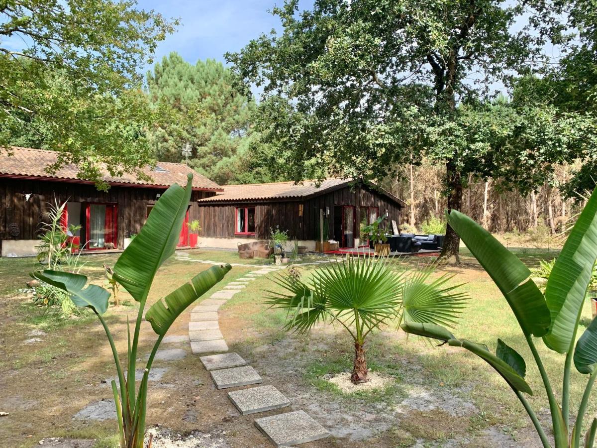 Hacienda De La Canopee Avec Piscine Chauffee Au Sel オータン エクステリア 写真