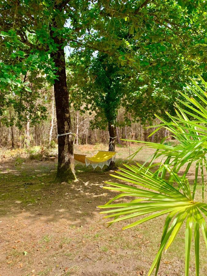 Hacienda De La Canopee Avec Piscine Chauffee Au Sel オータン エクステリア 写真