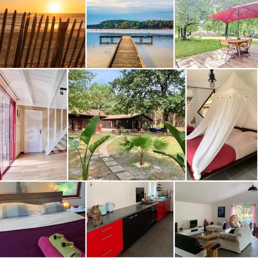 Hacienda De La Canopee Avec Piscine Chauffee Au Sel オータン エクステリア 写真