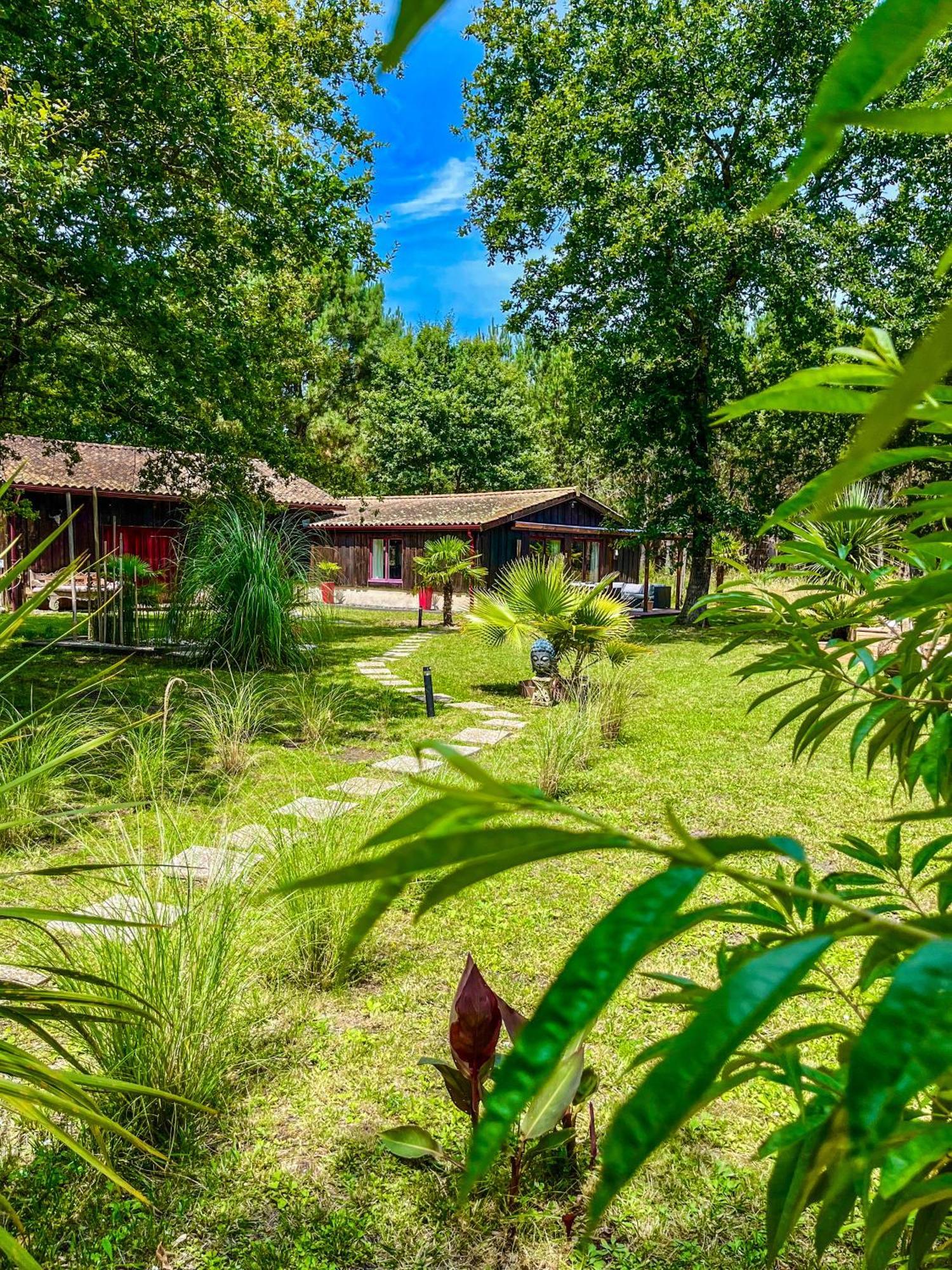Hacienda De La Canopee Avec Piscine Chauffee Au Sel オータン エクステリア 写真